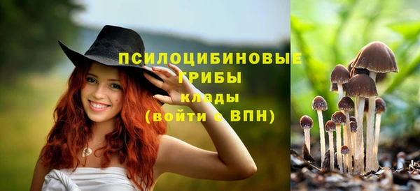 героин Богданович