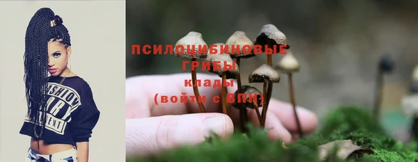 марки lsd Богородск
