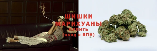 хмурый Богородицк