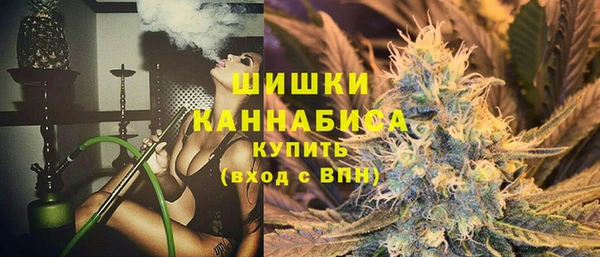 хмурый Богородицк