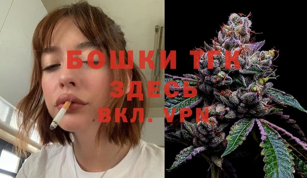 хмурый Богородицк