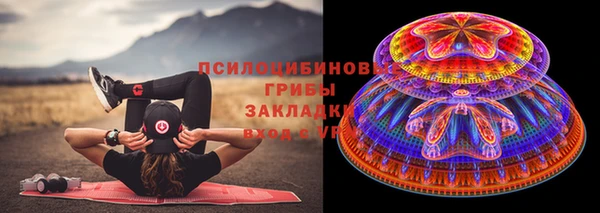 хмурый Богородицк